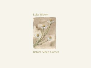 Luka Bloom 2004